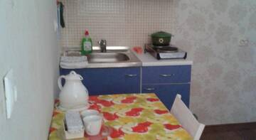 Фото номера Апартаменты Апартаменты Apartment Svetlana г. Котельники 11